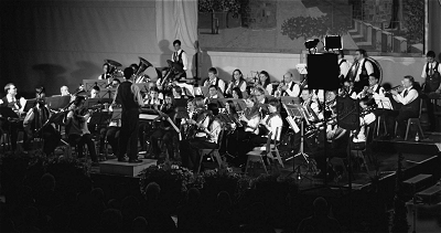 Der Musikverein Sulzbach braucht keinen Vergleich zu scheuen. Foto: Nina-Anna Beckmann